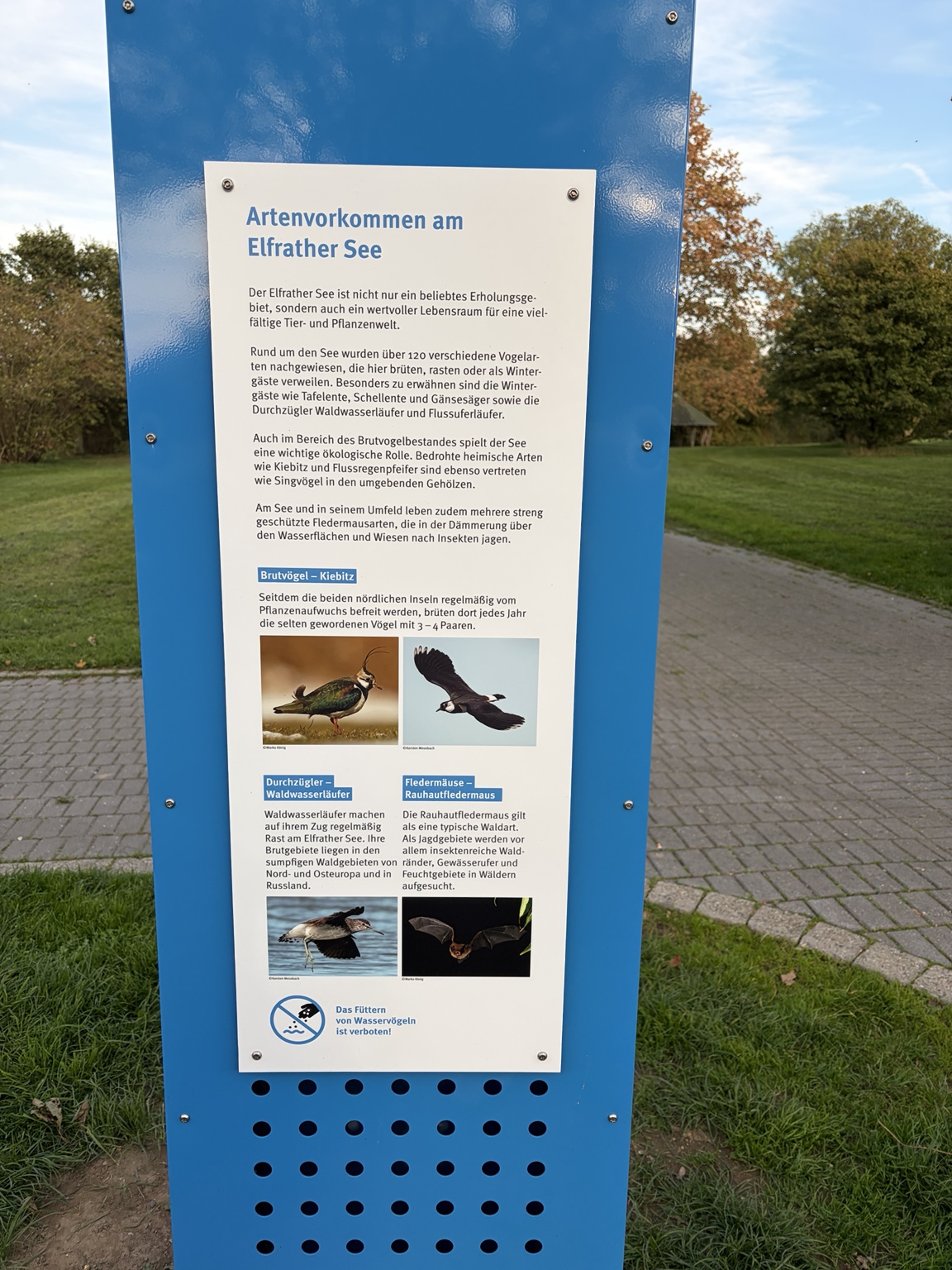 Neue See.Park-Krefeld-Tafel zum Artenvorkommen am Elfrather See